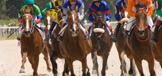 racehorses1