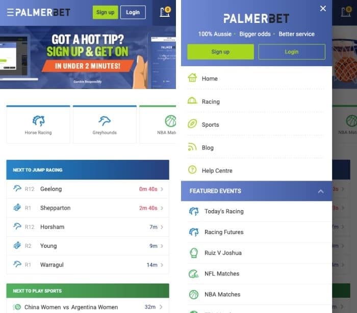 Palmerbet android app