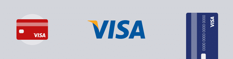 visa company info