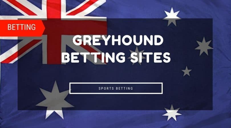 Greyhound Betting