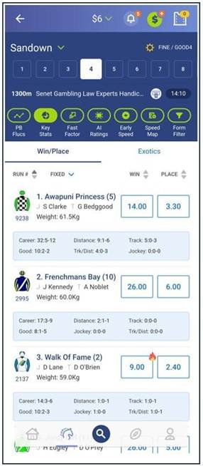 Palmerbet race stats